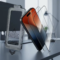 iPhone 17 Pro Max Tempered Glass Screen Protector – alternate view